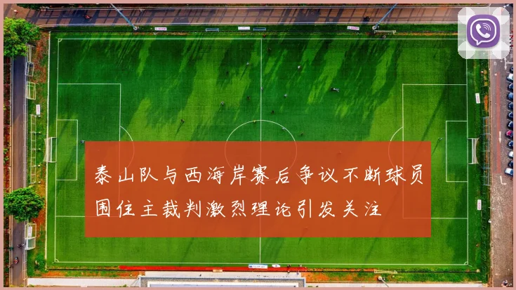 泰山队与西海岸赛后争议不断球员围住主裁判激烈理论引发关注